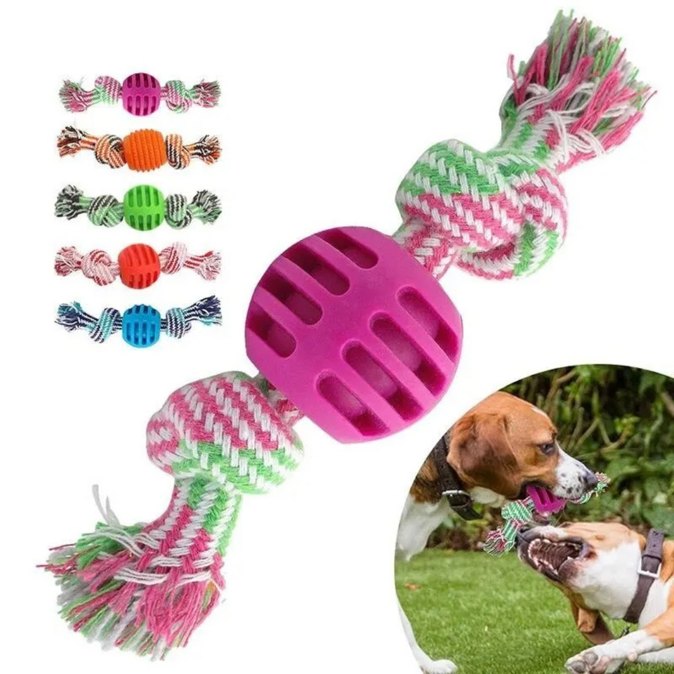 Brinquedo Corda Mordedor Resistente com Bola para Cachorros
