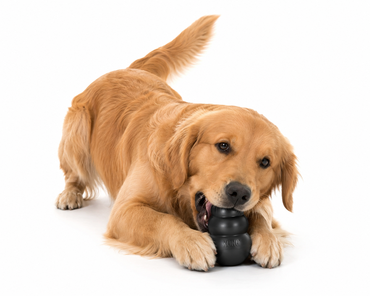 Brinquedo Kong Classic Interativo para Cachorros
