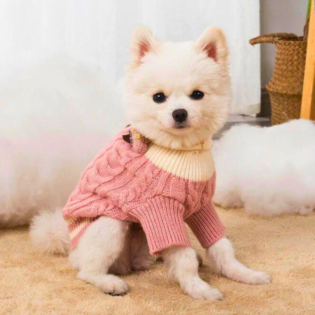 Fashion Tricot - PrestigePaws™  Para Cachorro e Gato