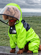 Capa de Chuva Impermeável para Cachorros - TheDogFace