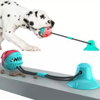Bola Petisqueira com Corda - Brinquedo Mordedor Para Cachorros