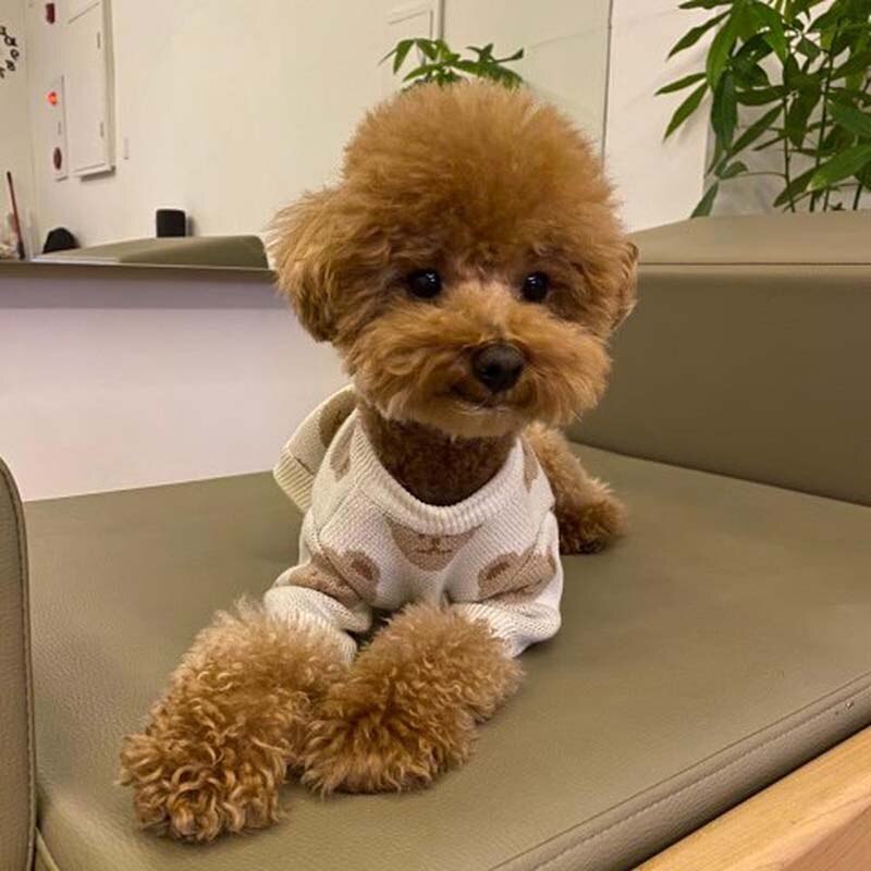 Suéter Pet de Algodão - CuteTeddy™ Azul e Branco