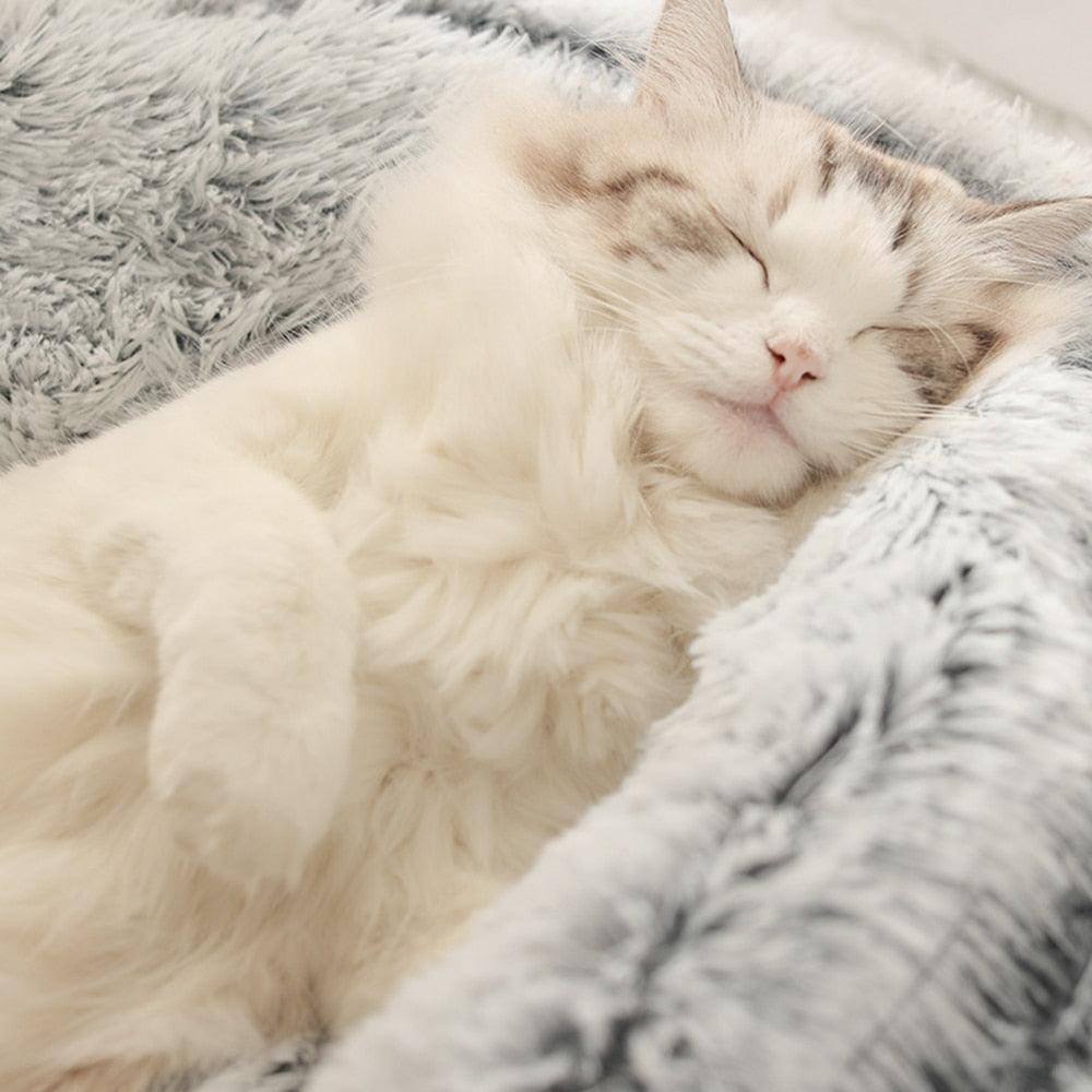 Cama Para Gatos Nuvem Luxury™ Antiansiedade