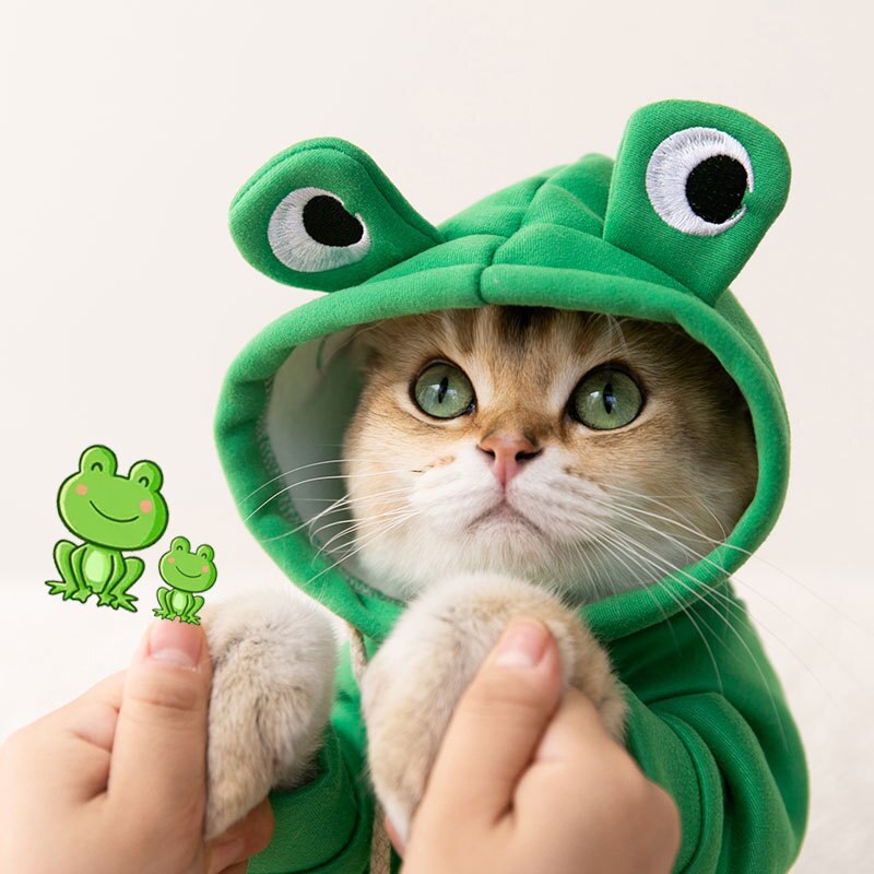 Moletom Amazing Frog - CatStyle™ Para Gatos