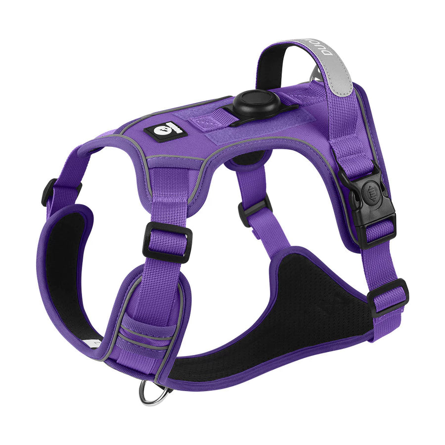 Peitoral Refletivo Ajustável para Cães com Suporte para AirTag – Confortável e Seguro