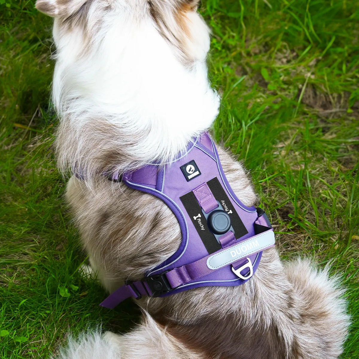 Peitoral Refletivo Ajustável para Cães com Suporte para AirTag – Confortável e Seguro