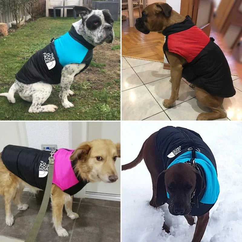 Jaqueta Impermeável Acolchoada com Zíper - TheDogFace™ para Cães