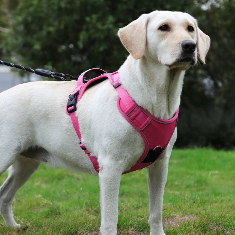 Peitoral Refletivo Ajustável para Cães com Suporte para AirTag – Confortável e Seguro