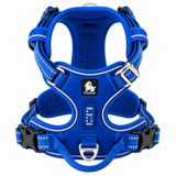 Azul royal